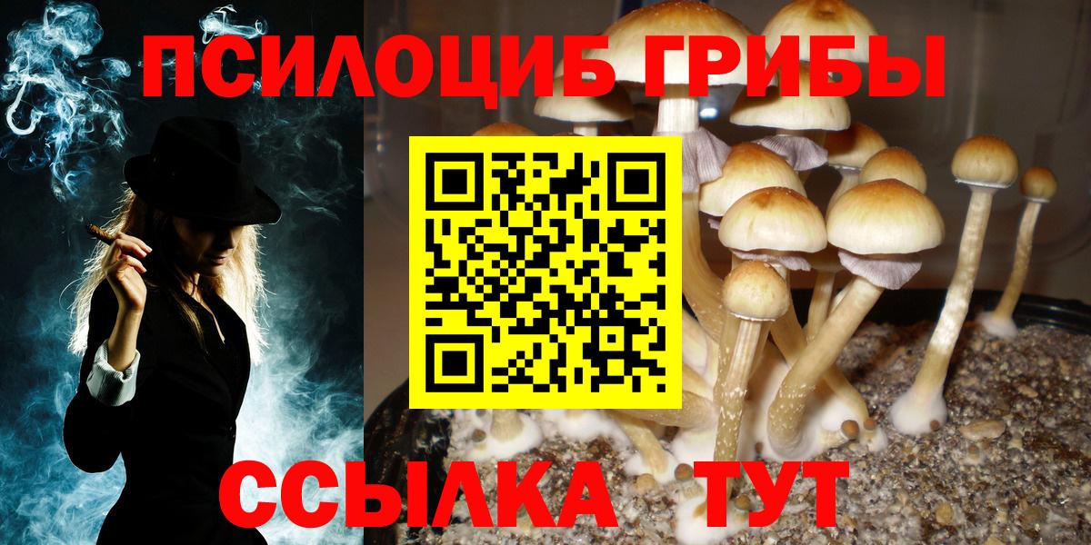 Псилоцибиновые грибы Magic Shrooms  Вход с VPN  Армавир 